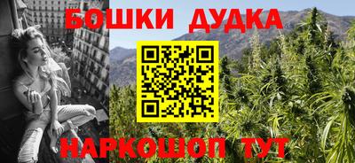 дурь Шелехов