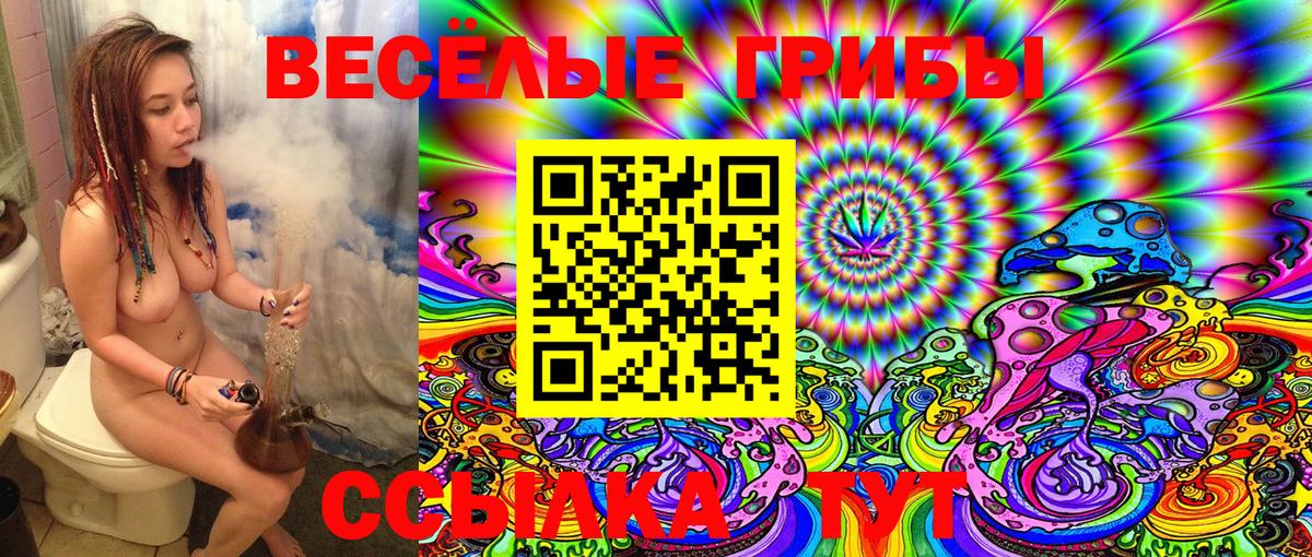 Псилоцибиновые грибы Psilocybine cubensis  Вход с VPN  Красноярск 